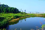 山水风景 高山池塘