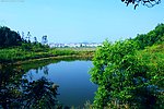 城市风景 高山水塘