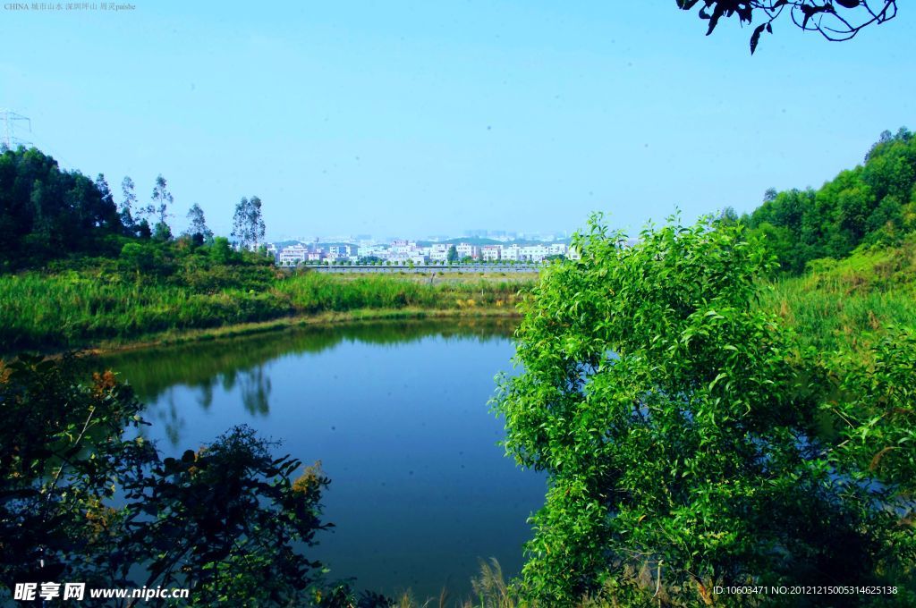 城市风景 高山水塘