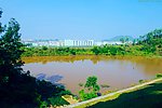 高山水塘 混水无鱼