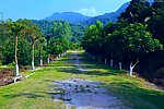 山水风景 社区绿道