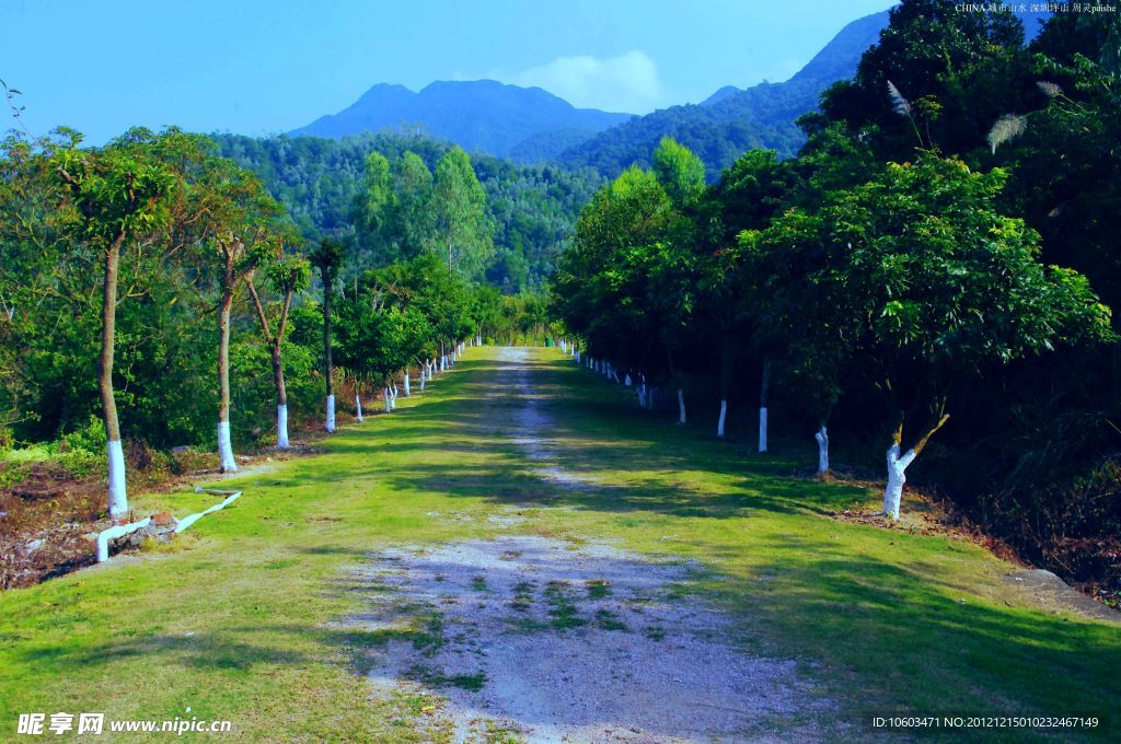 山水风景 社区绿道