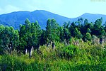 山水风景 烂尾楼柱