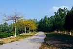山水风景 自然风光