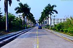 交通道路 绿色通道