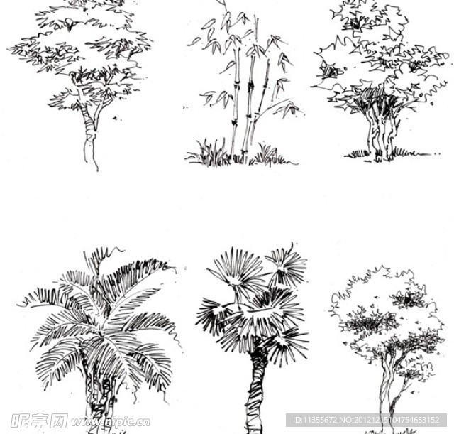 景观 植物手绘