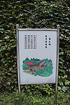 华山
