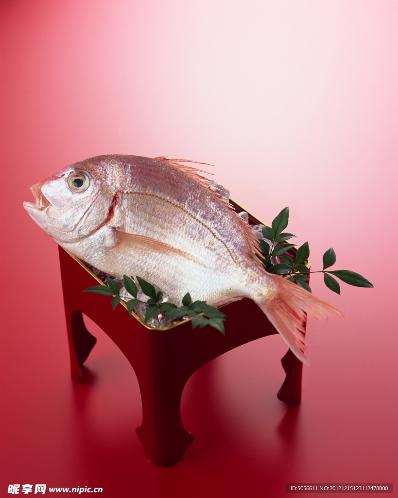 海鱼