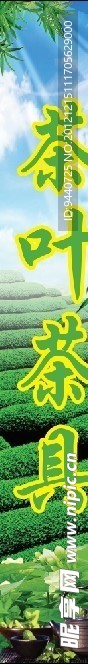 茶叶茶具