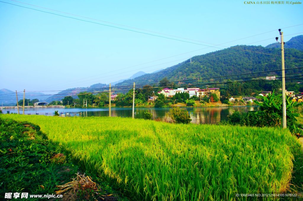 山水田园 田园水乡