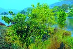 山水风景 田园风光
