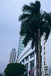 城市楼景 商报大夏