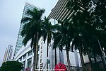 城市楼景 商报大夏