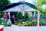 城市园林 园林建筑
