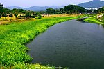 山水 河水悠悠 绿草悠悠