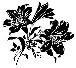 百合花花纹