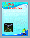 科学小知识