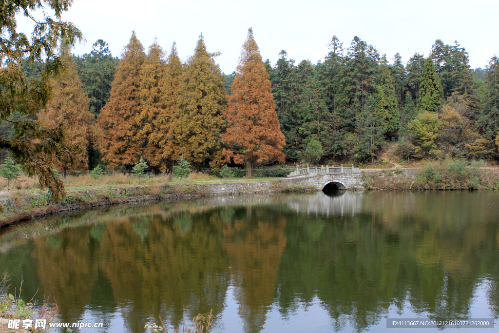 云居山真如禅寺 秋景