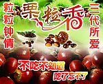 金牌栗子