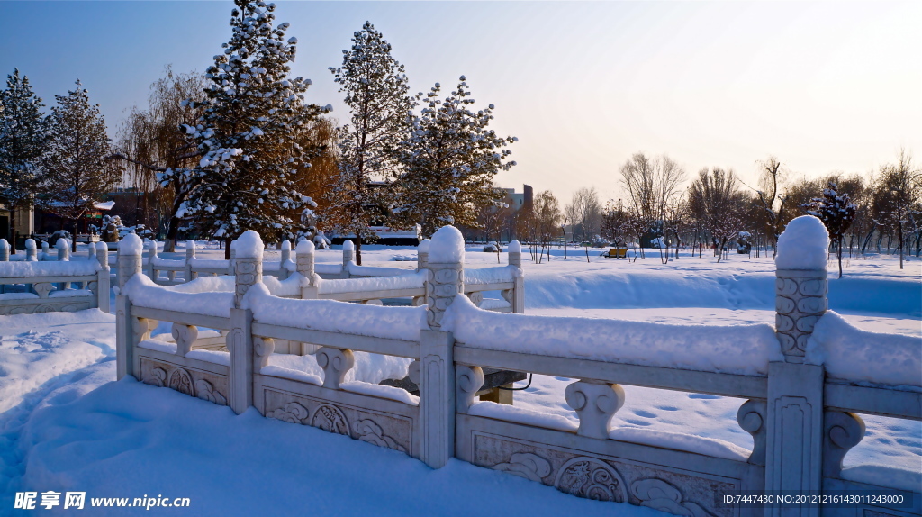 雪景