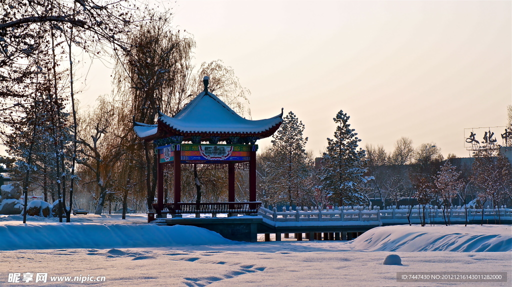 雪景