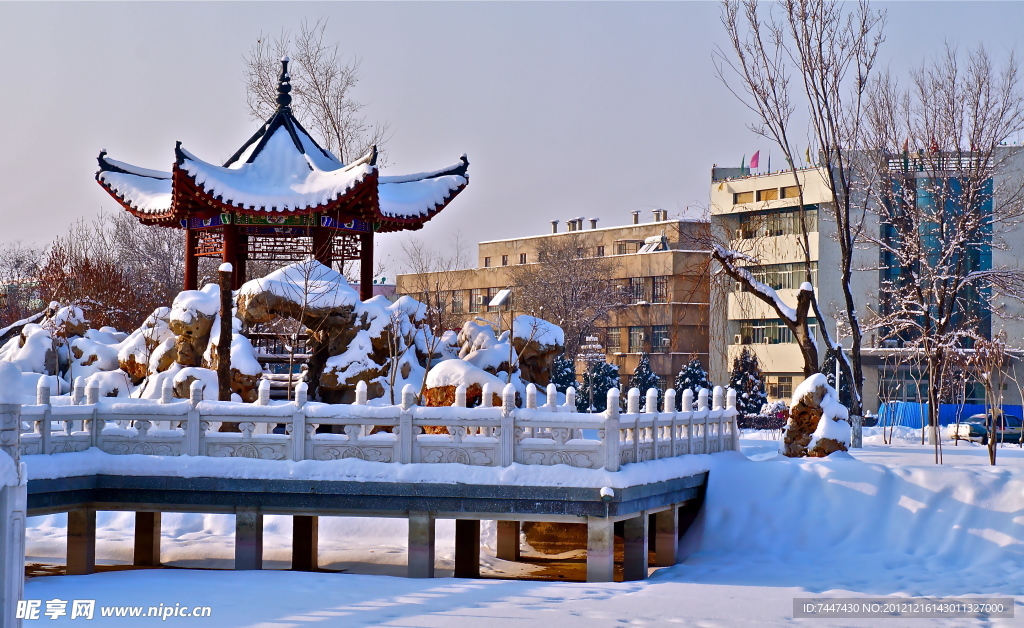 雪景