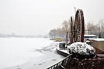 森林公园雪景