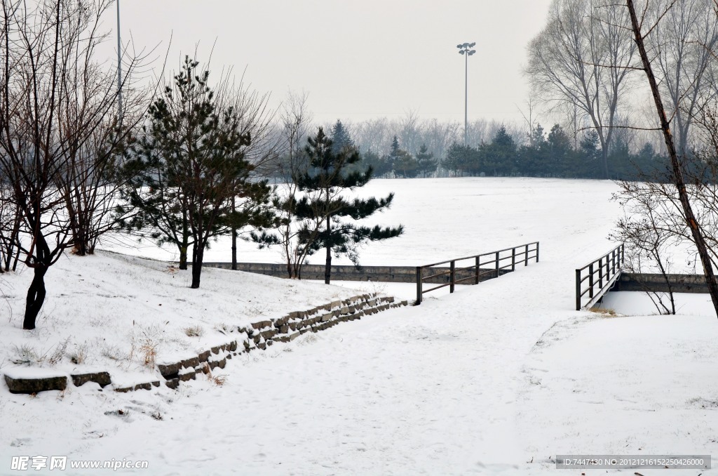 森林公园雪景