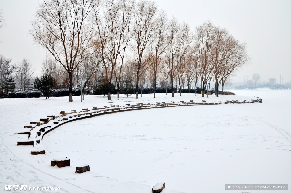 森林公园雪景