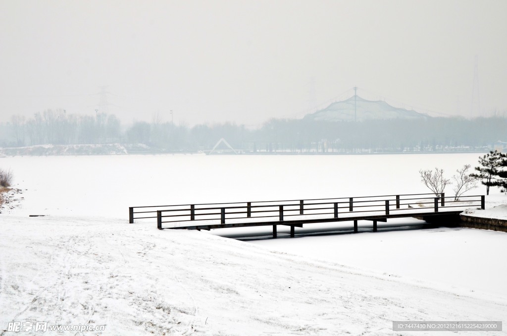 森林公园雪景