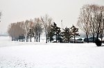 森林公园雪景