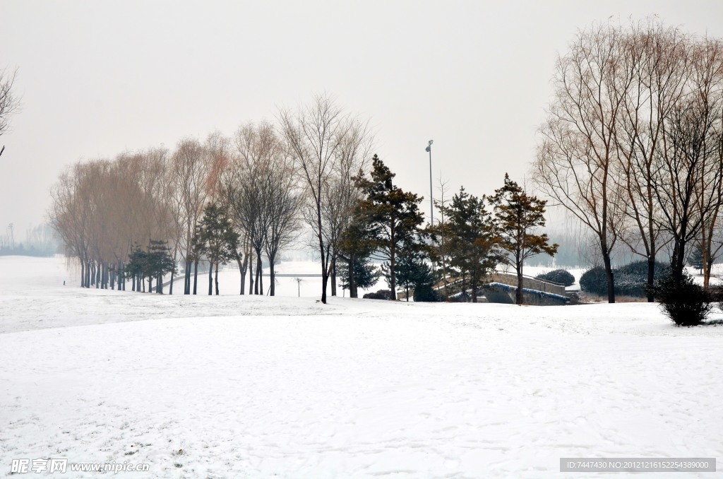 森林公园雪景