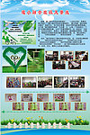 学校展板模版