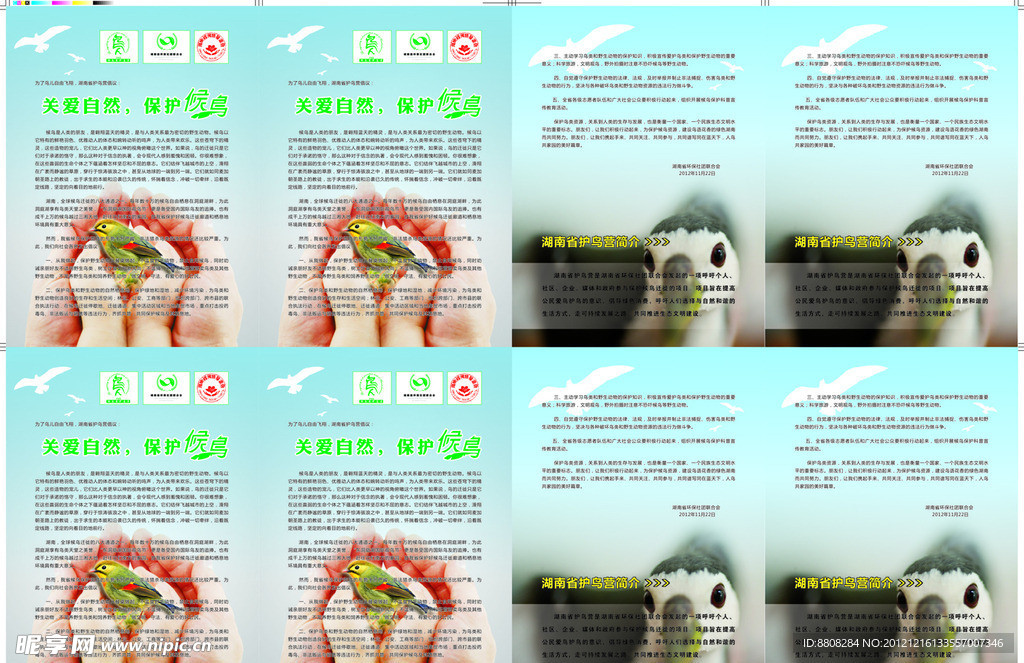 关爱自然 保护候鸟 宣传页