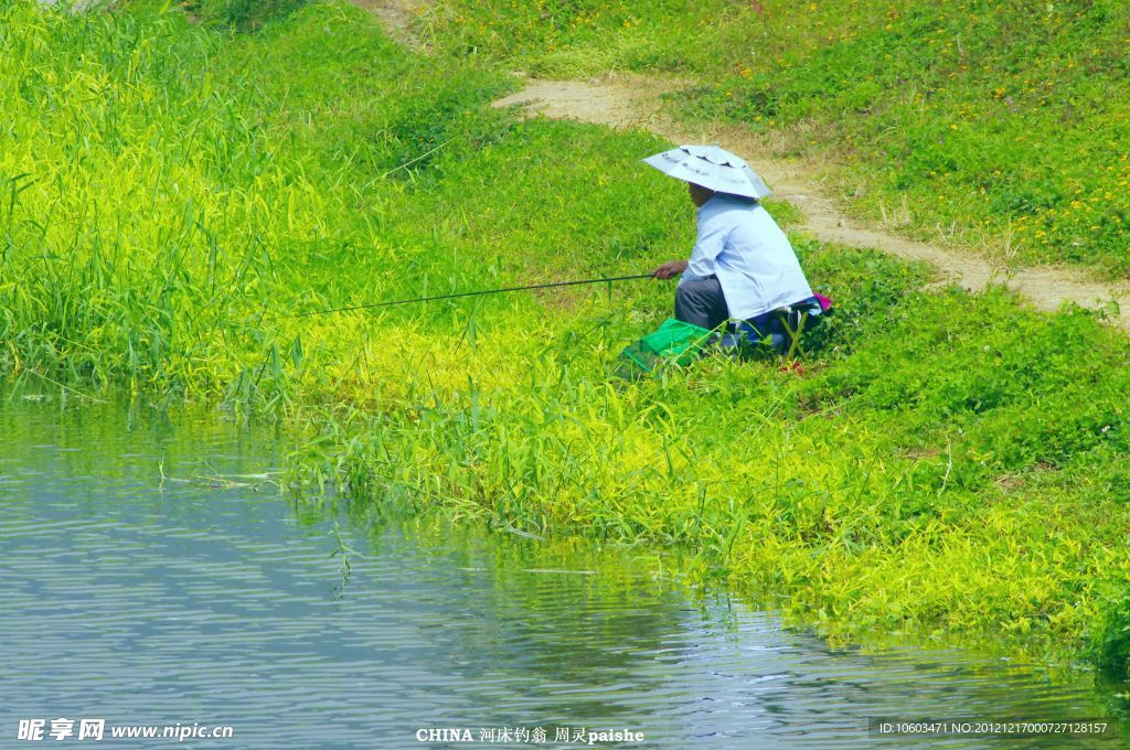 绿色河道 游人垂钓