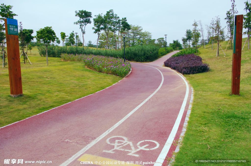 园林建设 道路景观