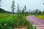 园林建设 道路景观