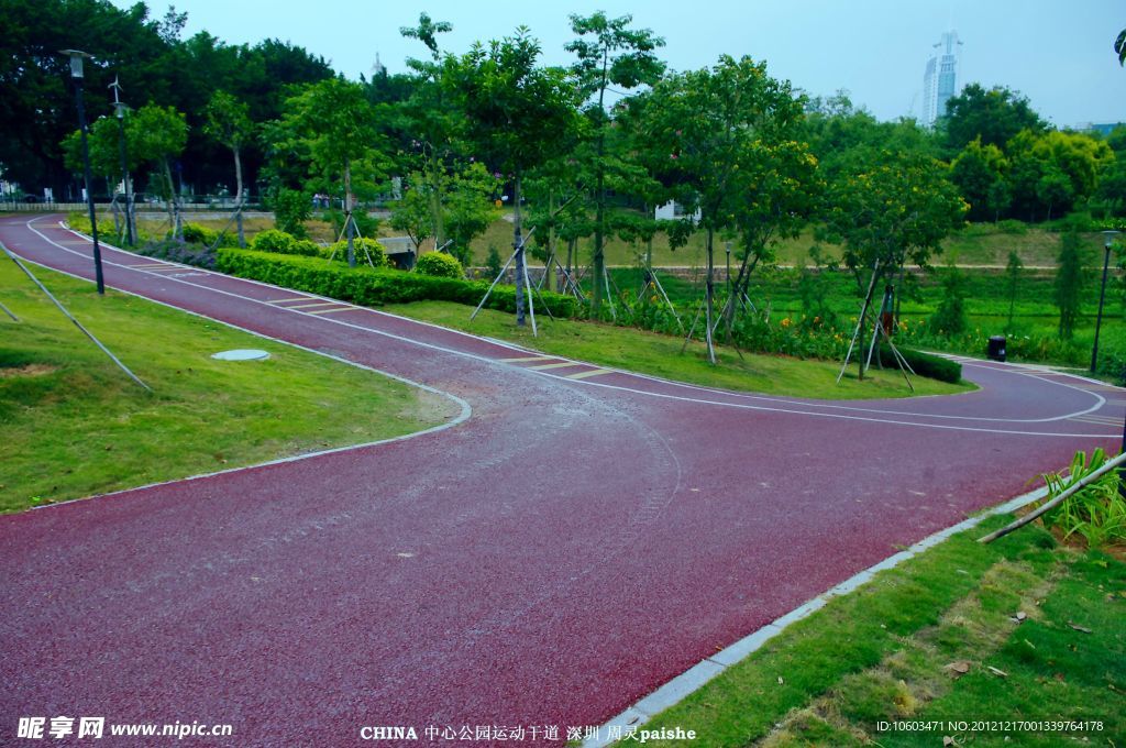 园林建设 道路景观