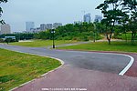 园林建设 道路景观