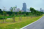 园林建设 树木景观