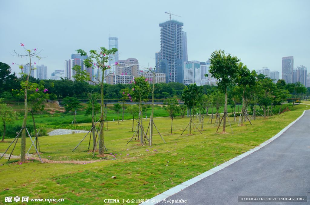 园林建设 树木景观