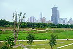 城市园林 绿色河道