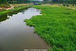 城市生态 绿色河流