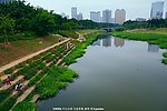 山水风景 城市河流
