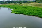城市生态 绿色景观