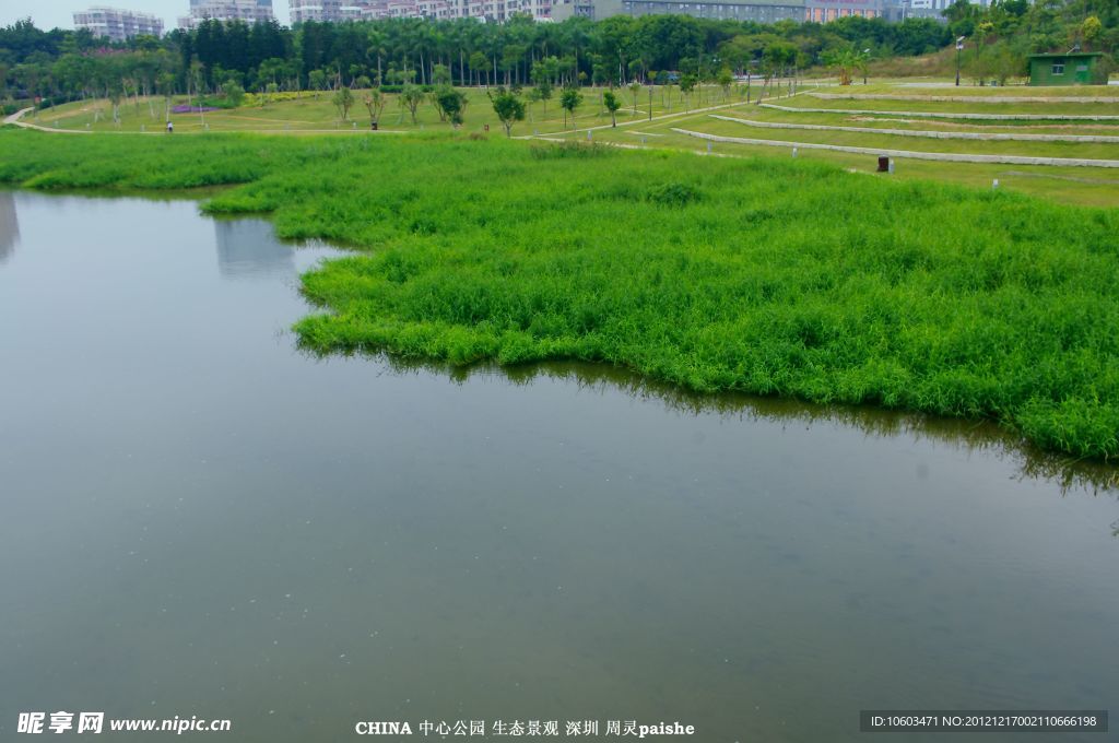 城市生态 绿色景观