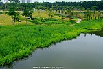 城市生态 绿色景观