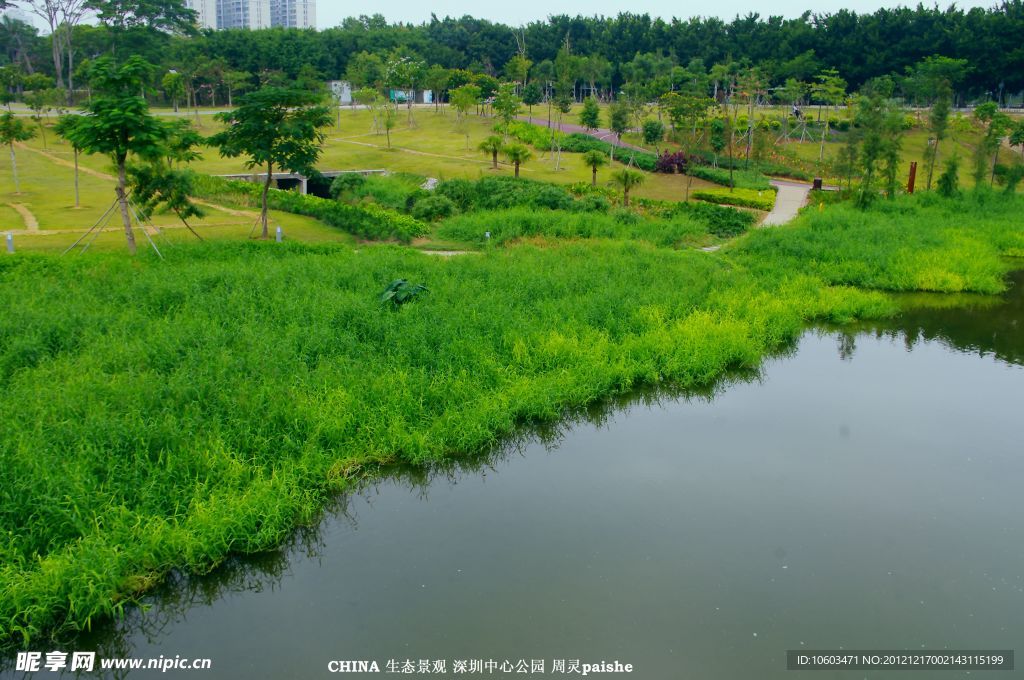 城市生态 绿色景观