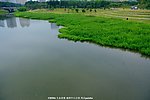公园生态 河流景观
