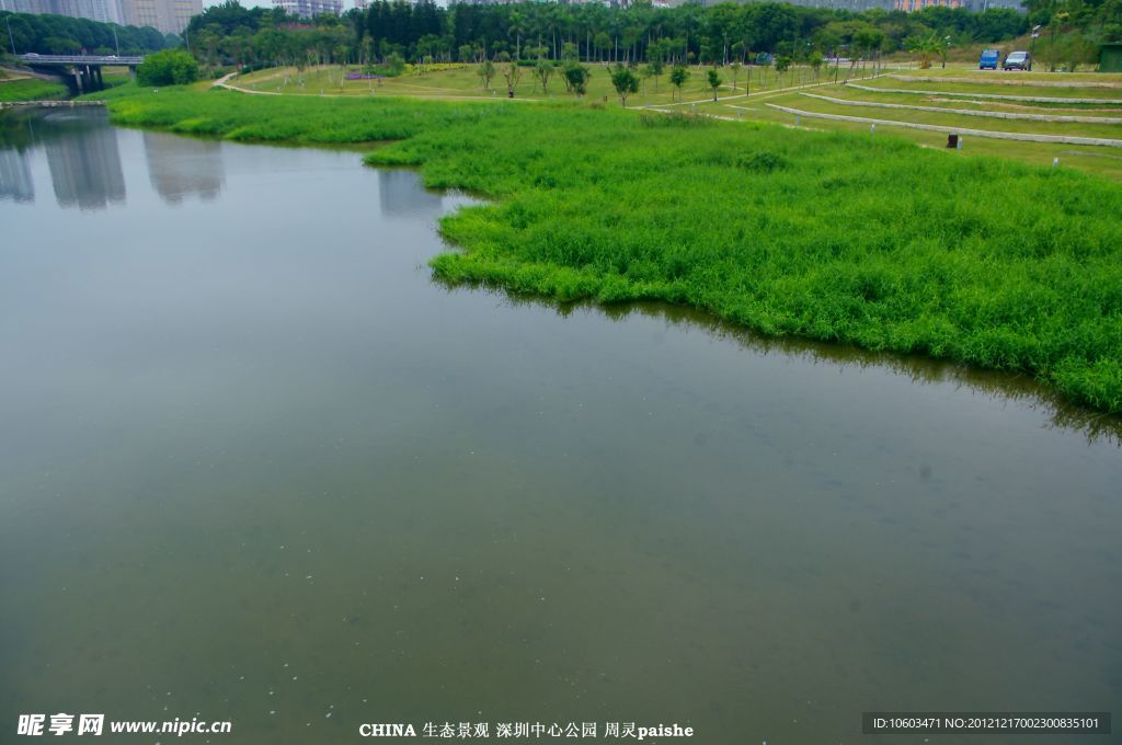 公园生态 河流景观